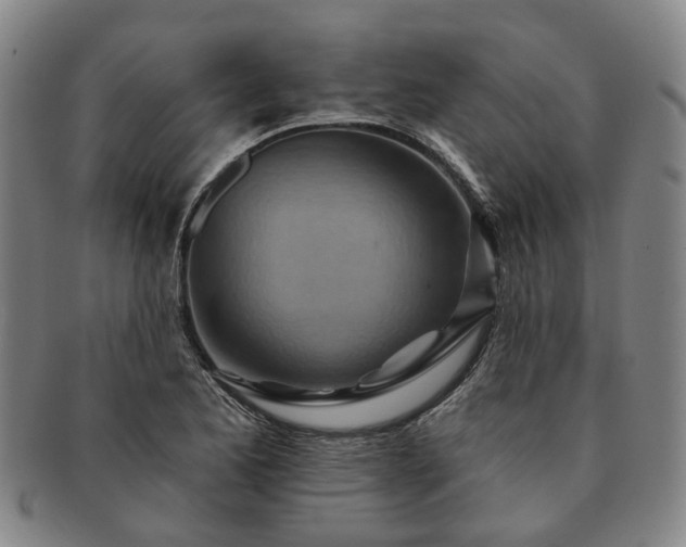 X0000091581173200708271214