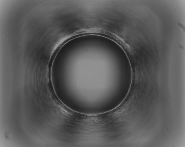 X0000091581174200708271214