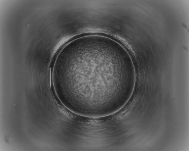 X0000091581175200708271214