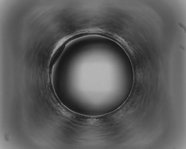 X0000091581176200708271214