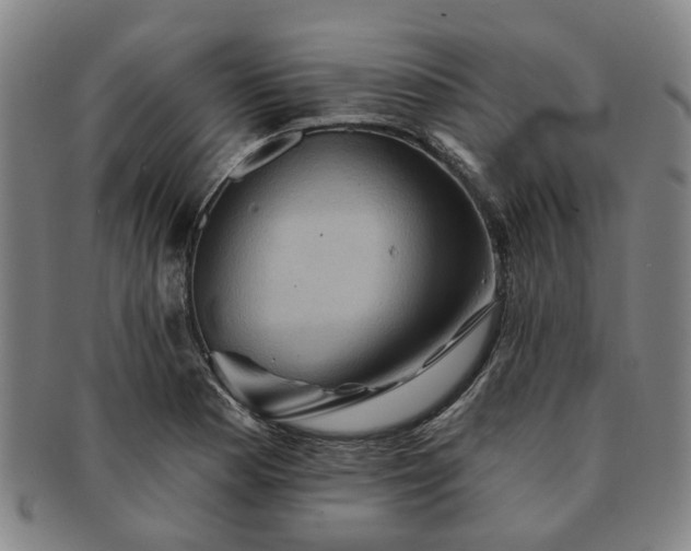 X0000091581177200708271214