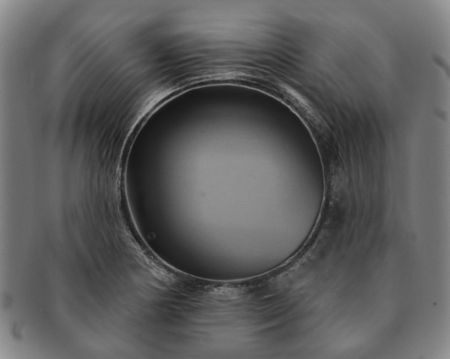 X0000091581178200708271214