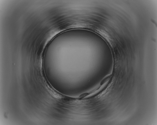 X0000091581179200708271214