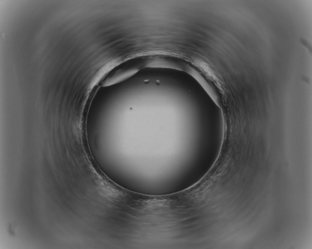 X0000091581181200708271214