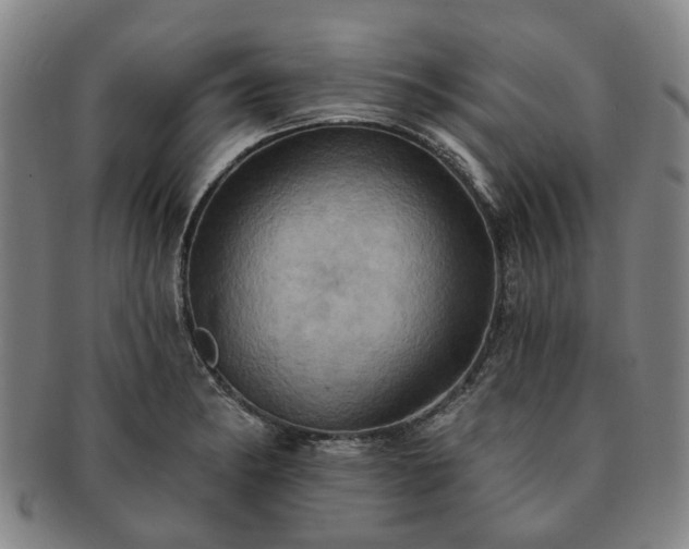 X0000091581182200708271214