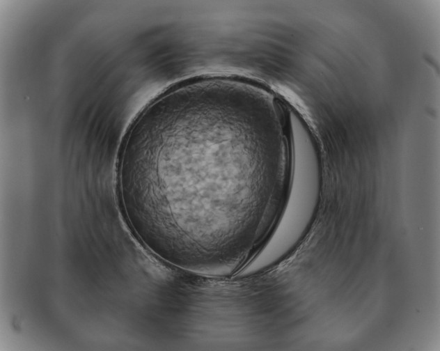 X0000091581183200708271214
