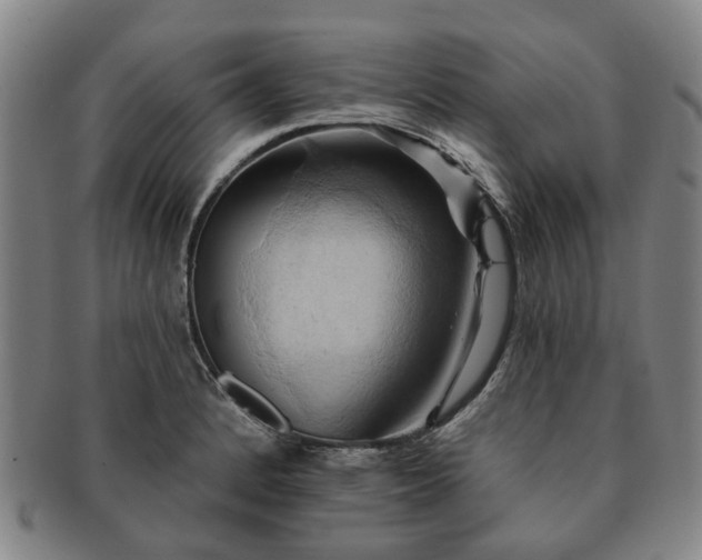 X0000091581184200708271214