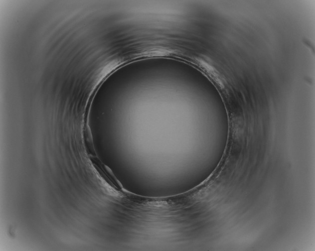 X0000091581186200708271213