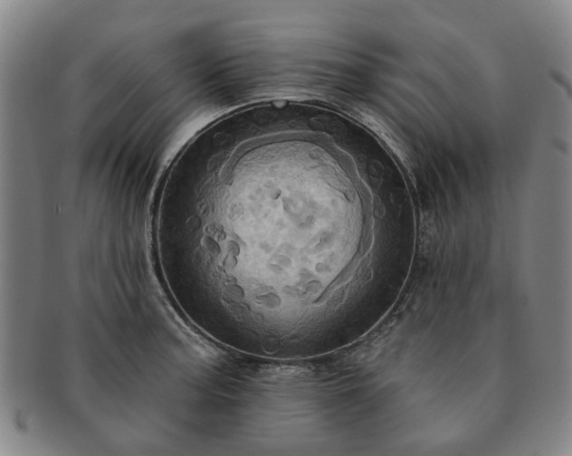X0000091581187200708271213
