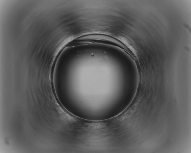 X0000091581189200708271213