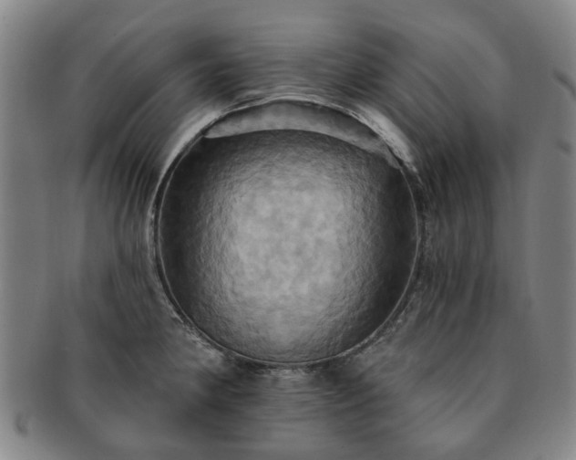 X0000091581190200708271213
