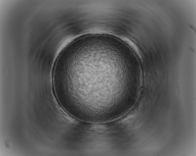 X0000091581191200708271213