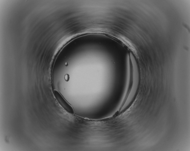 X0000091581192200708271213