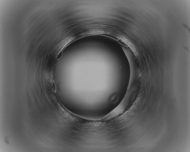 X0000091581193200708271213