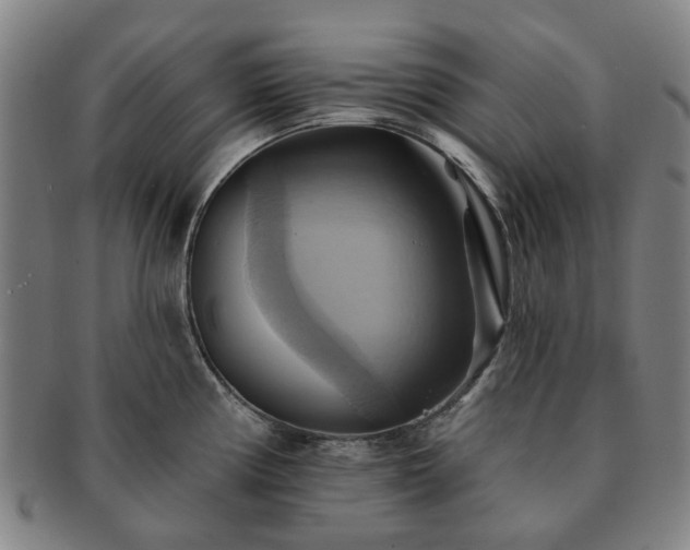 X0000091581194200708271213