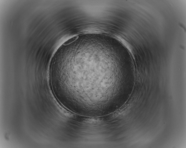 X0000091581195200708271213