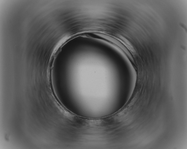 X0000091581196200708271213