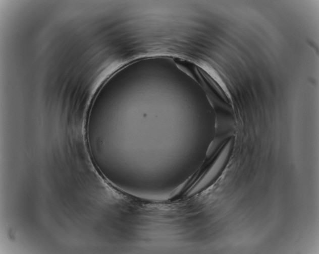 X0000091581197200708271213