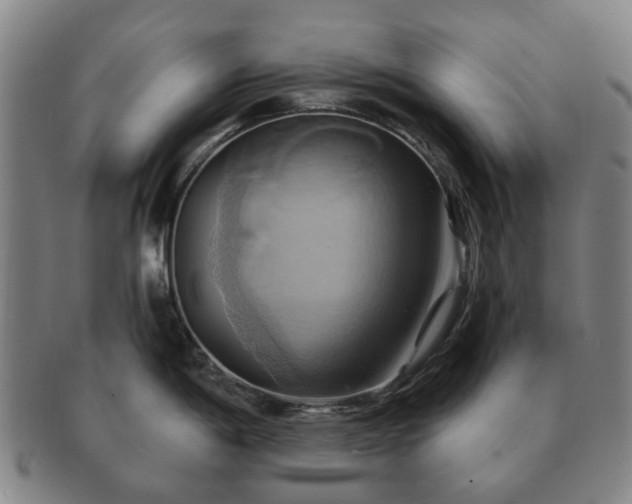 X0000091581198200708271213