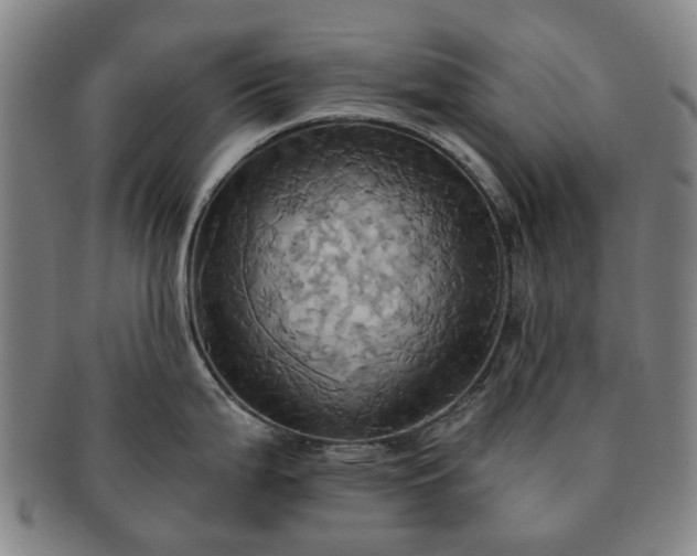 X0000091581199200708271213