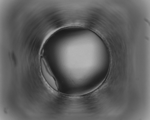 X0000091581200200708271213