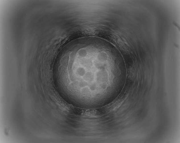 X0000091581201200708271213