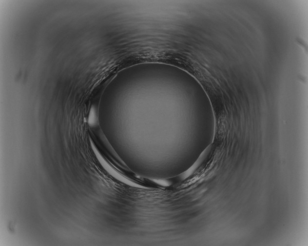 X0000091581202200708271213