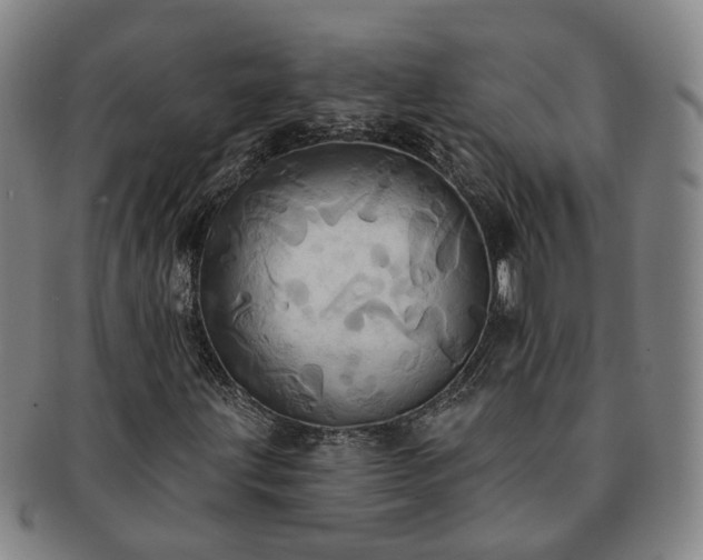 X0000091581203200708271213