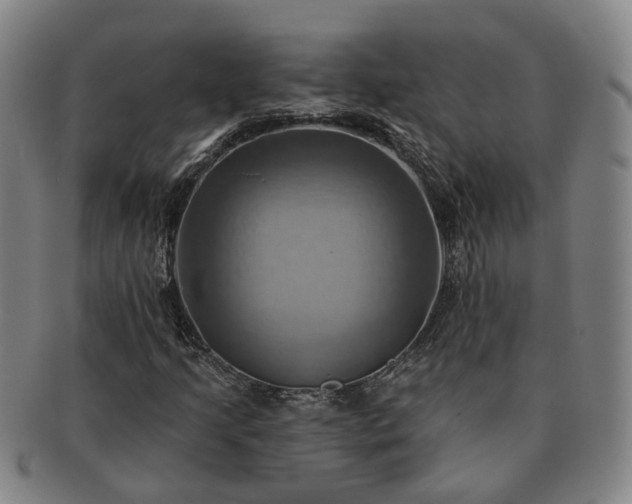 X0000091581205200708271213