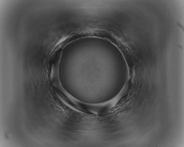 X0000091581206200708271213