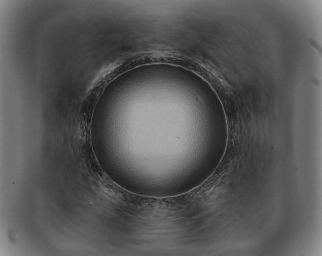 X0000091581207200708271213