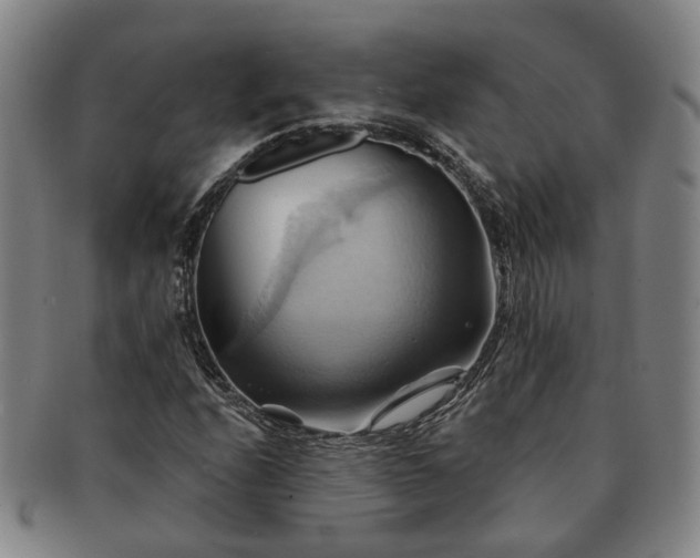 X0000091581208200708271213