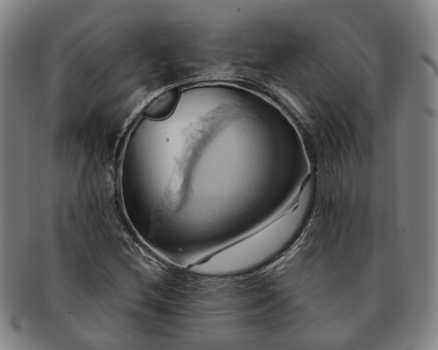 X0000091581212200708271213