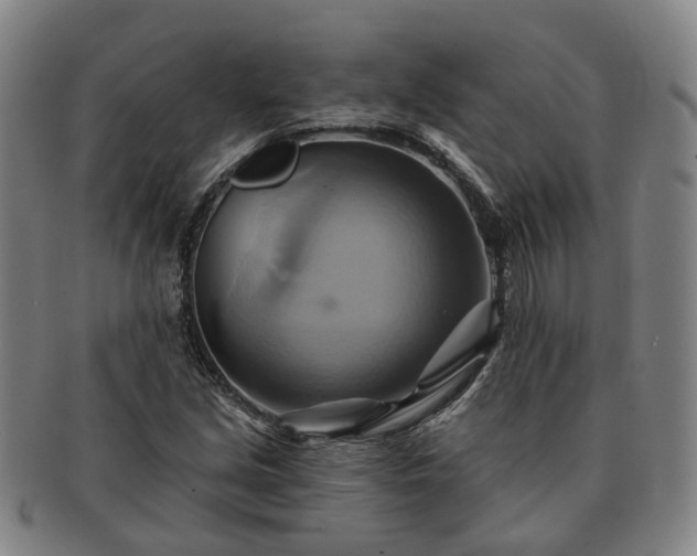 X0000091581213200708271213