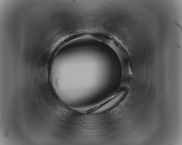 X0000091581214200708271213