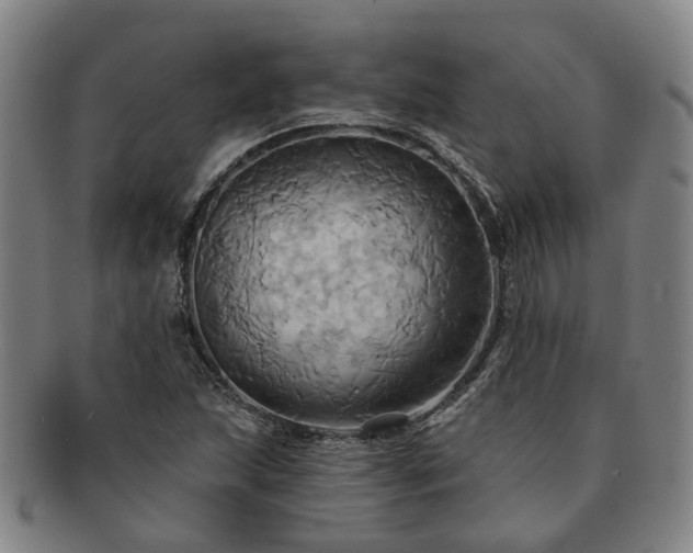 X0000091581215200708271213