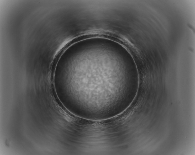 X0000091581216200708271213