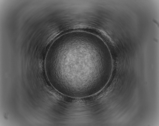 X0000091581217200708271213