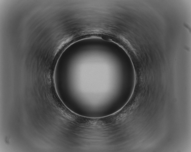 X0000091581218200708271213