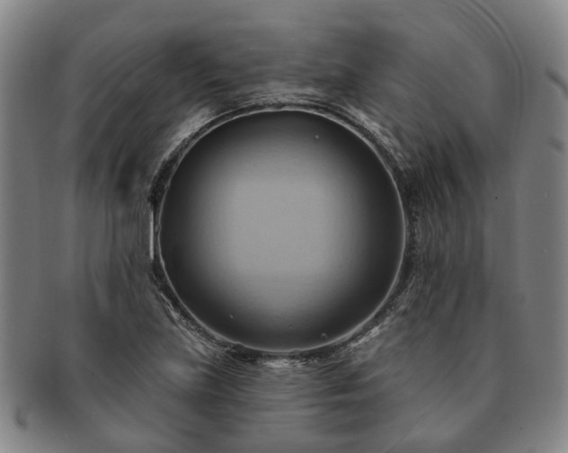 X0000091581219200708271213