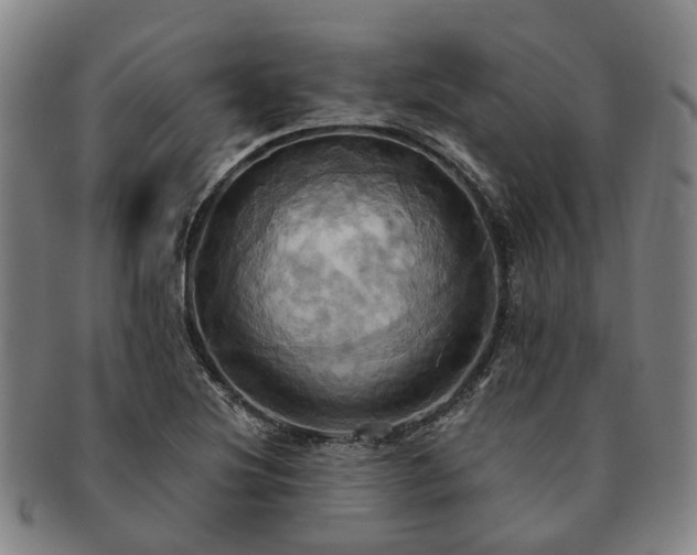 X0000091581220200708271213