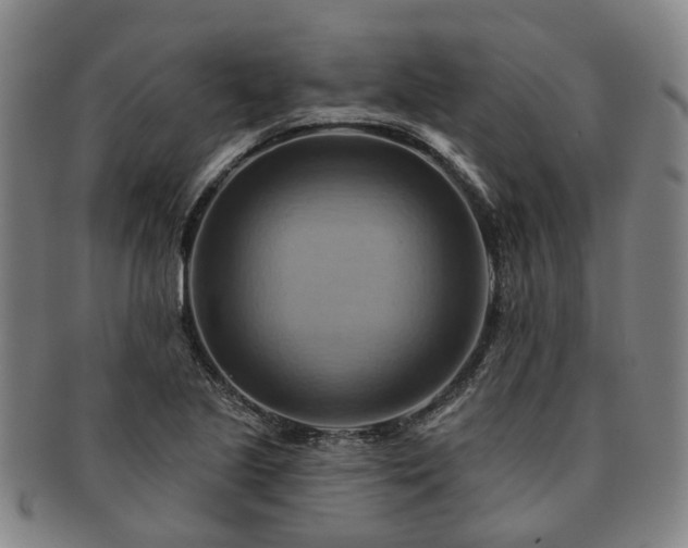 X0000091581221200708271213