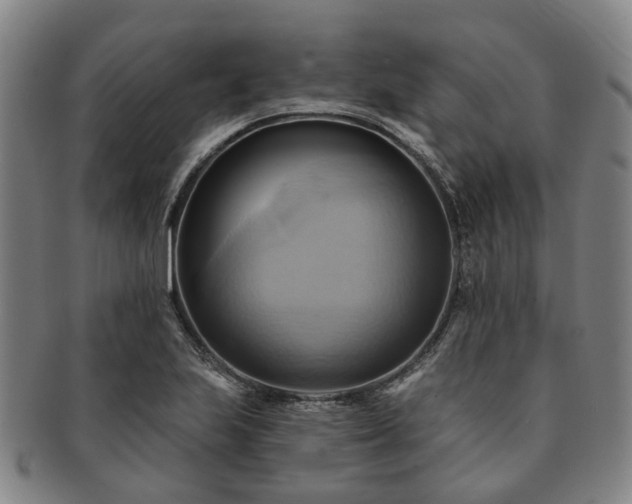 X0000091581223200708271213