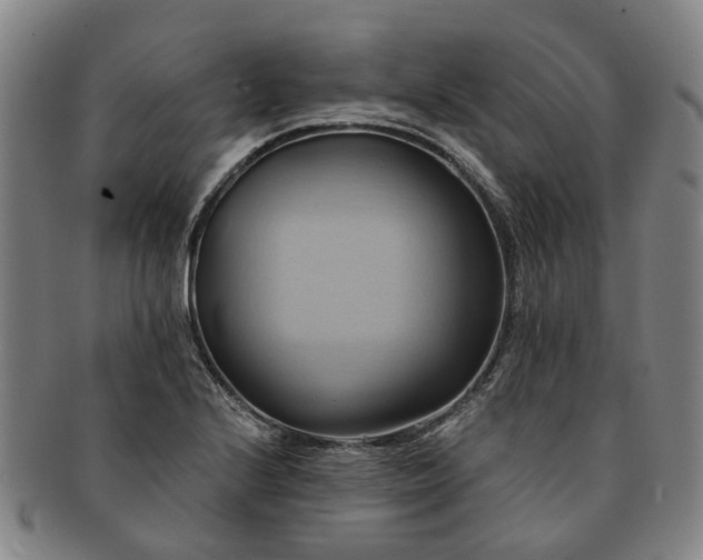 X0000091581224200708271213