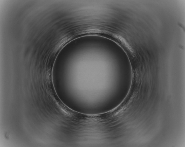 X0000091581225200708271213