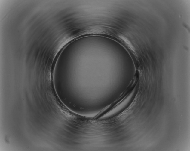X0000091581226200708271213