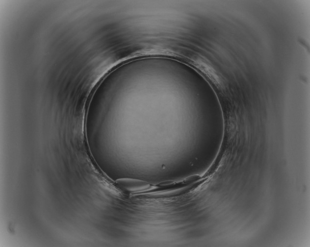 X0000091581228200708271213