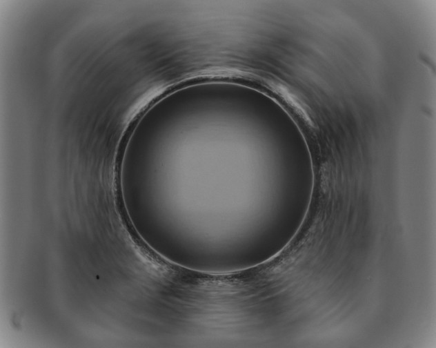 X0000091581229200708271213