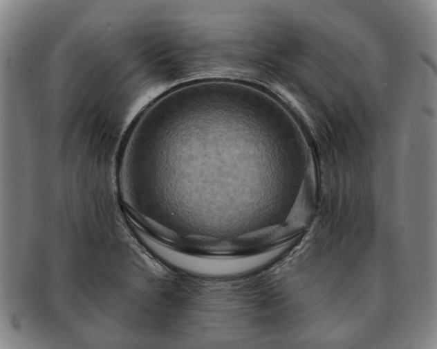 X0000091581230200708271213