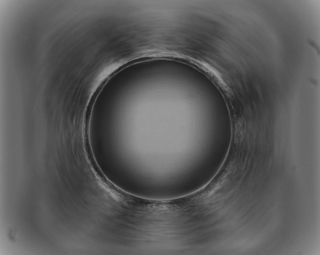 X0000091581231200708271213